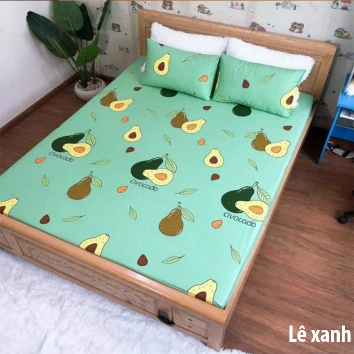 Ga chống thấm cotton m2/m6/m8/2m2, Ra thun chống nước an toàn cho nệm được ưa chuộng - BeenDecor