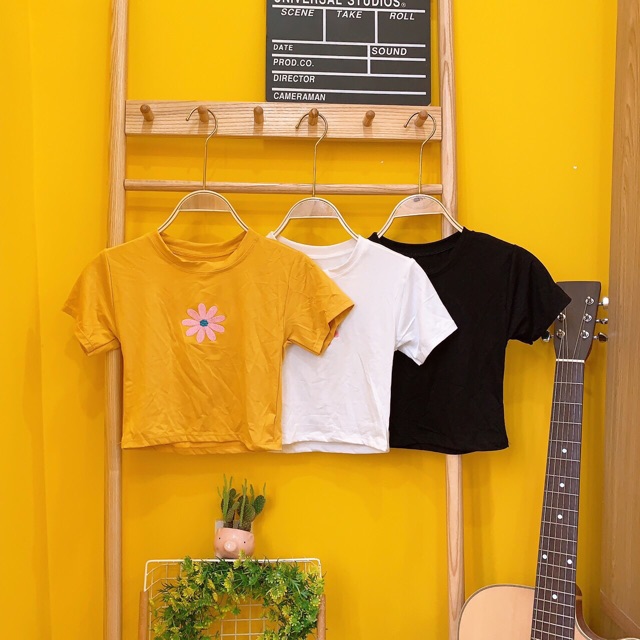 Áo croptop thêu hoa cúc hình chụp thật kèm video