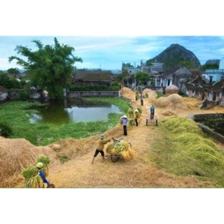 Quần áo lộn xộn