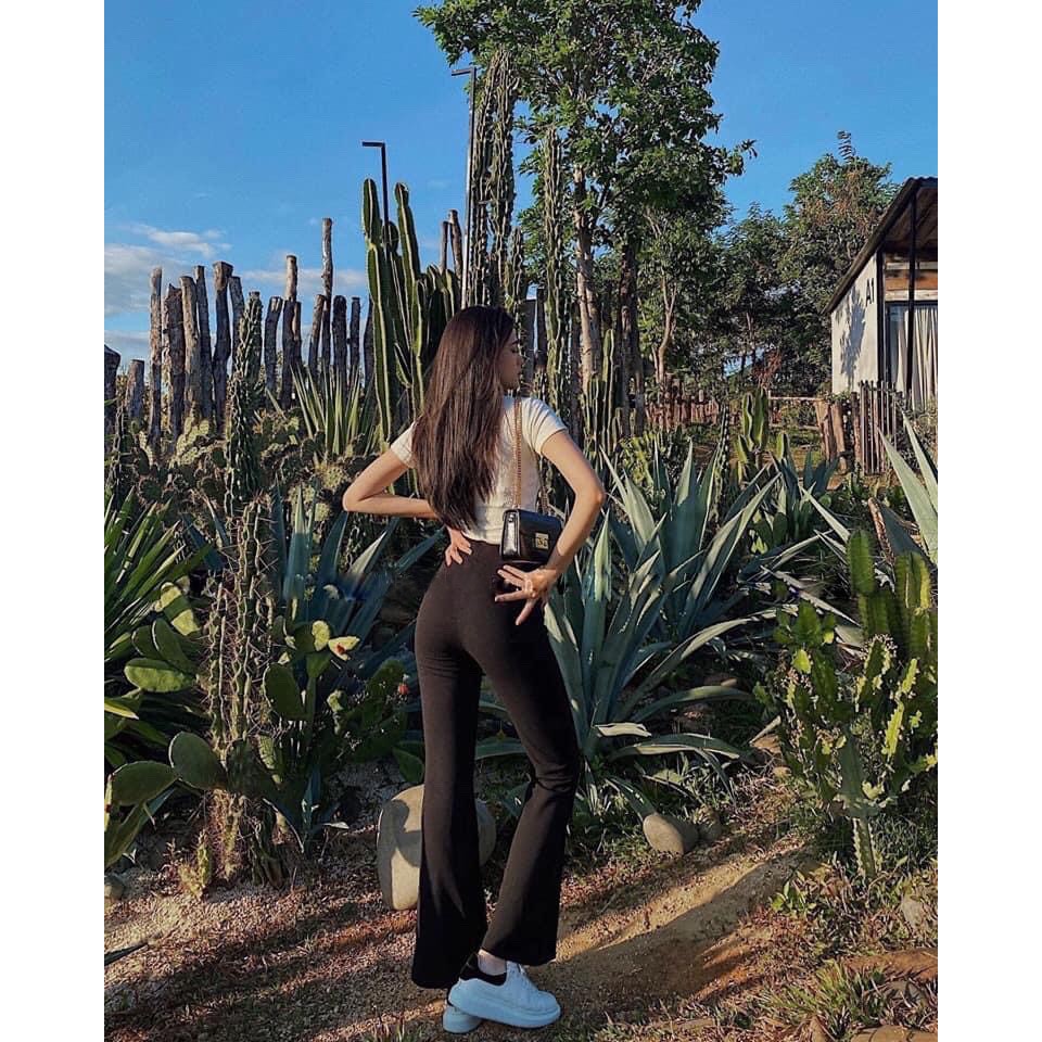 Quần Tây Ống Loe Dáng Dài Vải Cát Hàn Co Dãn | BigBuy360 - bigbuy360.vn