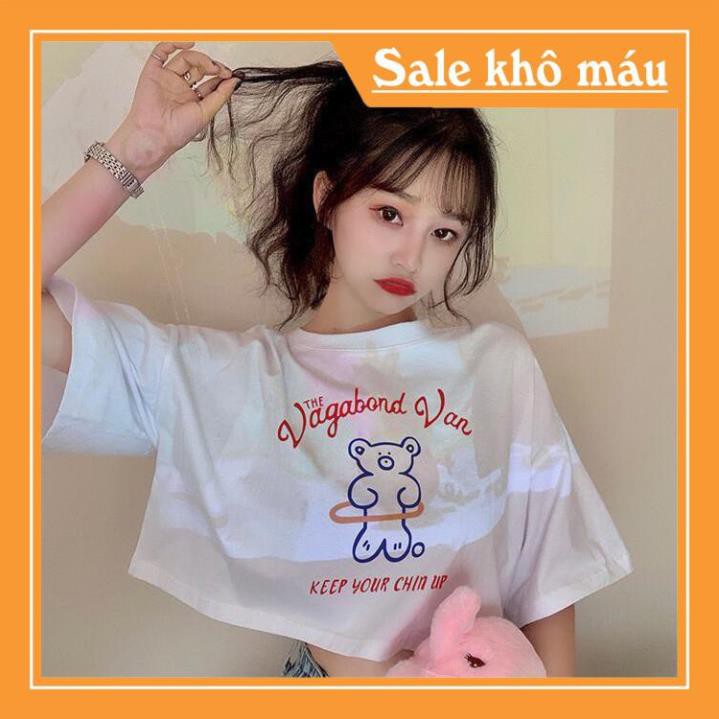 Áo Croptop Chú Gấu Đáng Iu