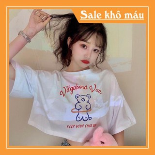 Áo croptop chú gấu đáng iu