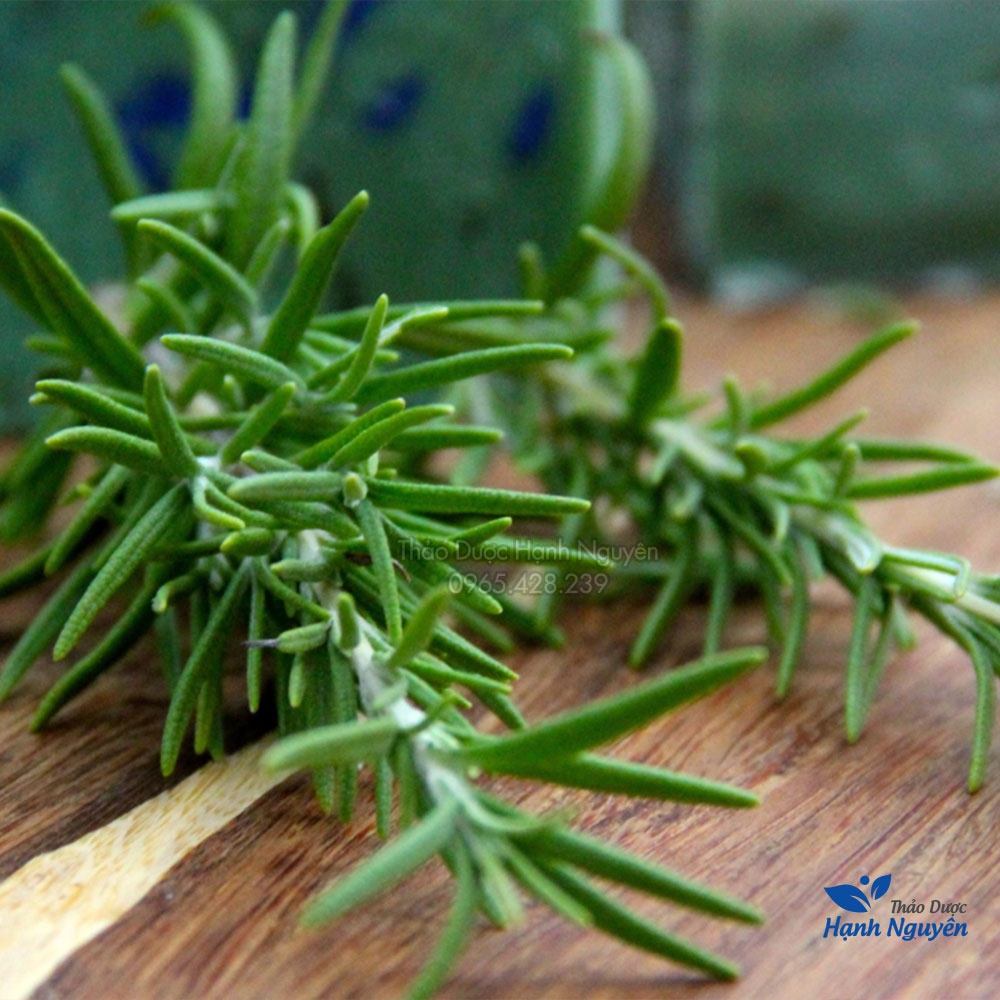 Lá hương thảo sấy lạnh 500g (Gia vị thảo mộc ướp thịt nướng, tạo hương thơm cho món ăn) - Thảo Dược Hạnh Nguyên