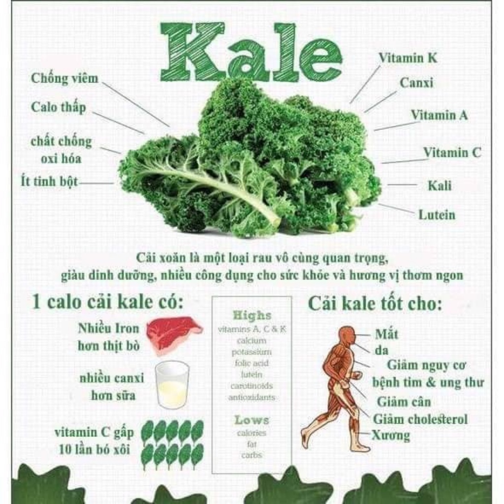 Mì cải Kale Surifarm, mì cải xoăn 100% hữu cơ Eat clean ăn kiêng | WebRaoVat - webraovat.net.vn