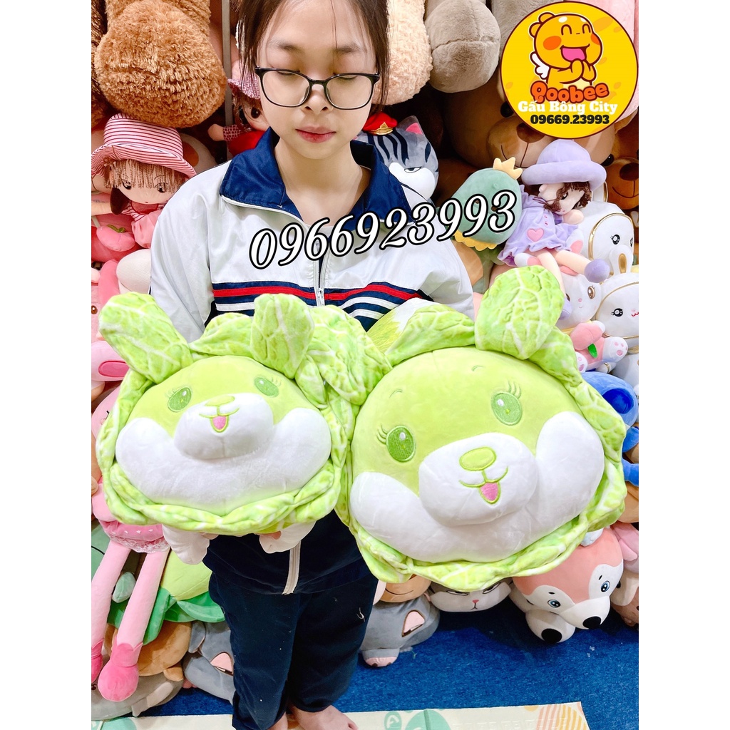 Gấu Bông Thỏ Bắp Cải Ngồi Cao Cấp - Cải Thảo Nhồi Bông Cao Cấp Gấu Bông City