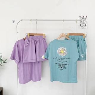 SET BỘ HOA CÚC