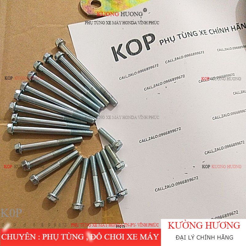bộ ốc bắt lốc máy xe DREAM (-10%)
