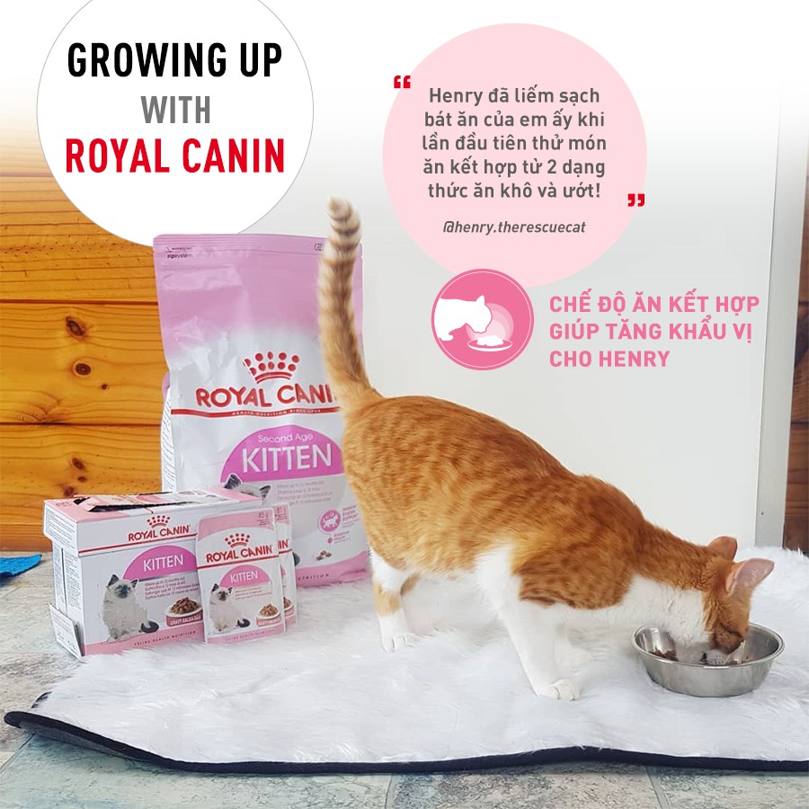 súp pate royal canin kitten dành cho mèo con 85gr (gravy - loaf - jelly )