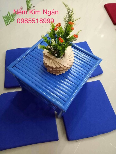 Nệm ngồi bệt trơn,có dây kéo
