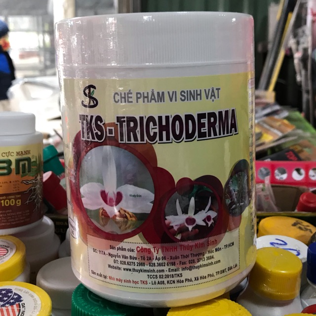 Chế phẩm Vi sinh học TKS-Trichoderma cho hoa Lan