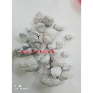 Vật liệu lọc cao cấp matrix seachem