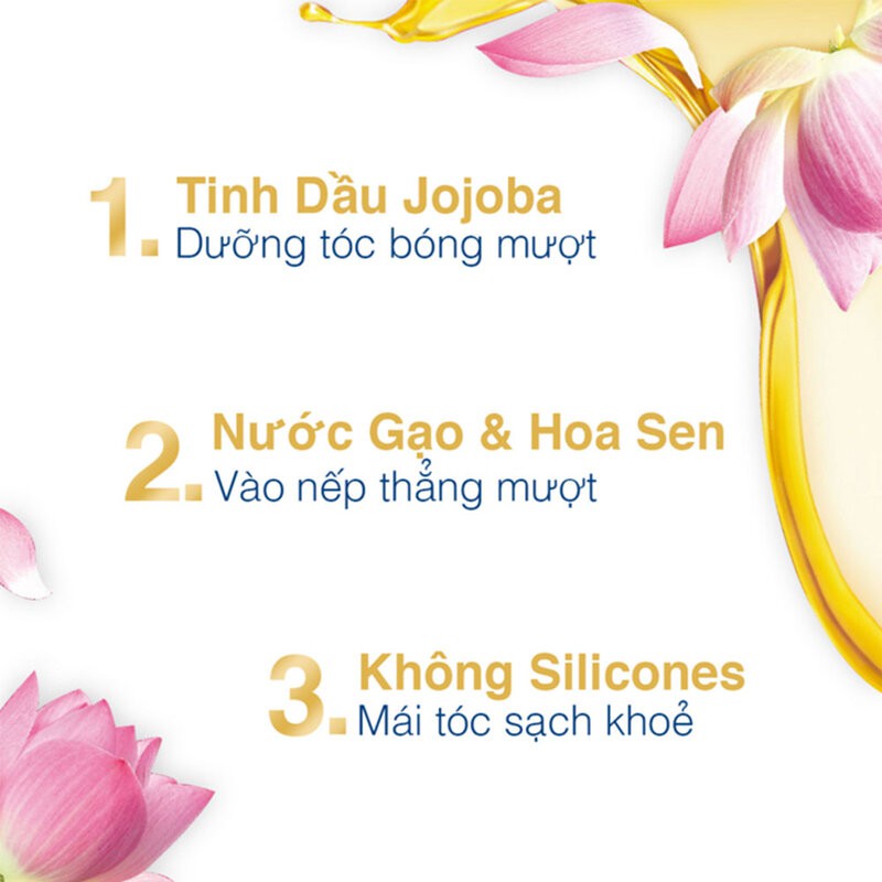 Bộ Gội Xả Dove Bóng Mượt Từ Hoa Sen Và Dầu Jojoba 500gx2 Jojoba Botanical Selection