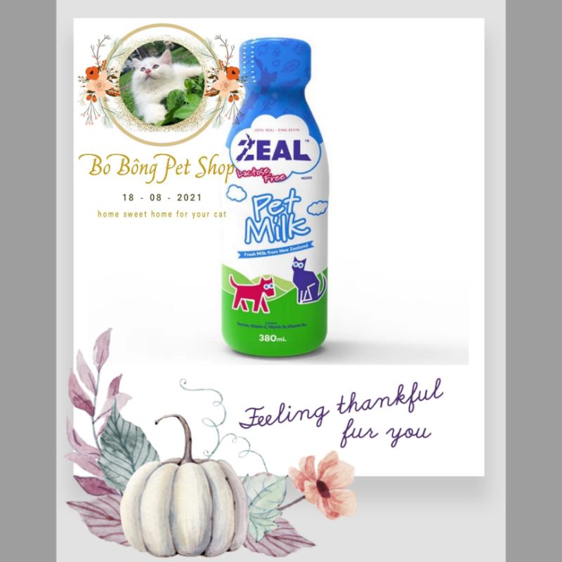 Sữa ZEAL - Sữa tươi dê tiệt trùng không chứa Lactose cho chó mèo chai 380ml