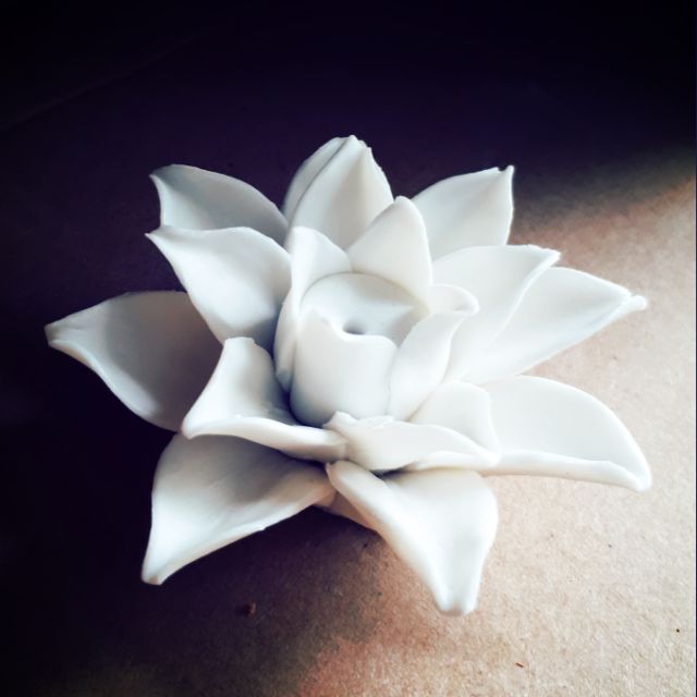 Hoa sen cắm nhang