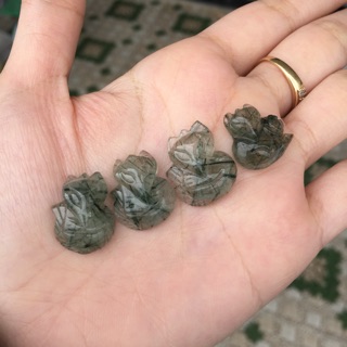 Hồ ly tóc tiên xanh
