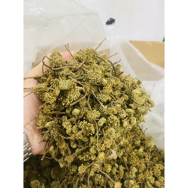 Siêu Rẻ - 0.5kg Trà Nụ Hoa Tam Thất Khô