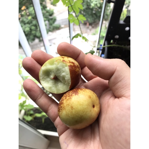 Hồng Táo vip  - hàng mới