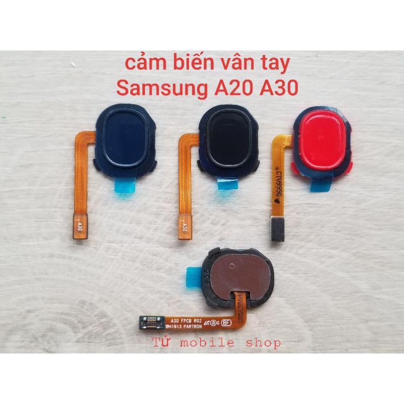 Cảm biến vân tay Samsug A20 SM-A205 , Samsung A30 SM-A305