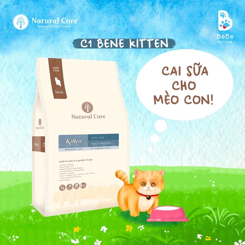 Hạt NATURAL CORE Kitten Cho Mèo Con Dưới 12 Tháng Tuổi