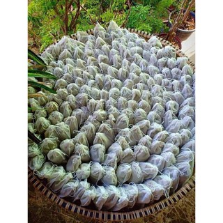 Lá tắm thảo dược (30 túi lọc)