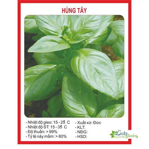 1g Hạt giống Húng tây (tặng gói Kích nẩy mầm và Hướng dẫn) XTRA