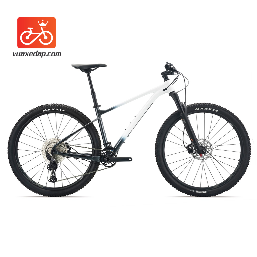 XE ĐẠP ĐỊA HÌNH GIANT XTC 29 1 2022