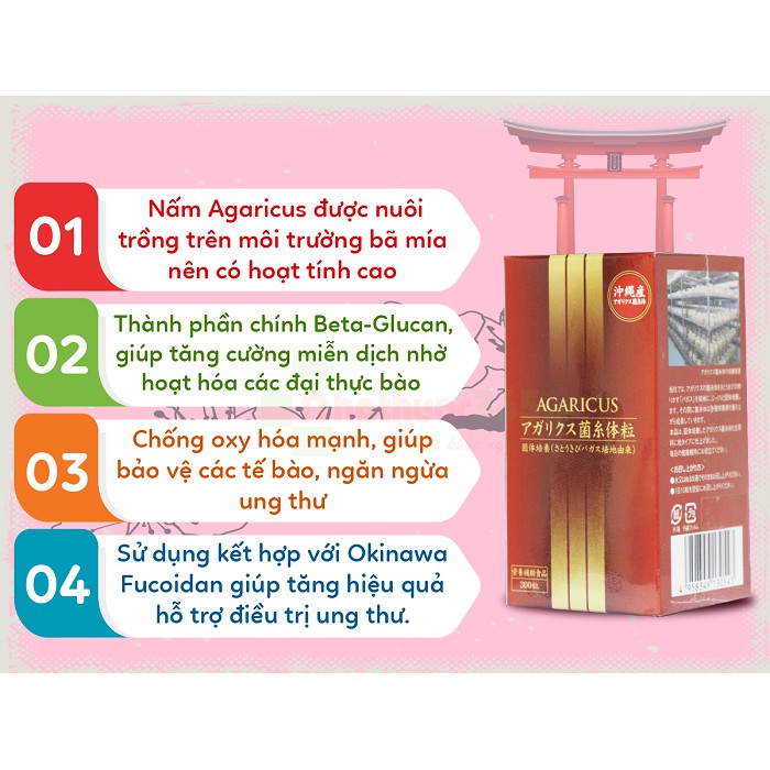 Date 2021 Nấm Agaricus Mycelia 300 Viên Tăng Cường Sức Khỏe