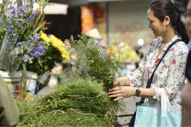 Tinh dầu Mùi già Viên Minh