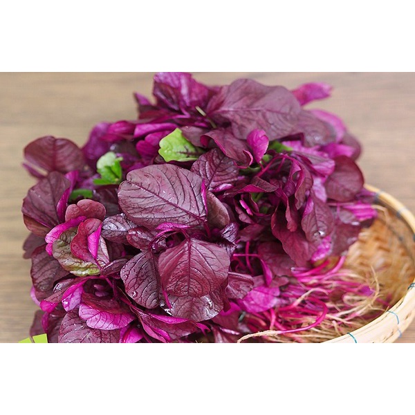 [Siêu Sale] Hạt giống rau Dền Đỏ - gói 20gr