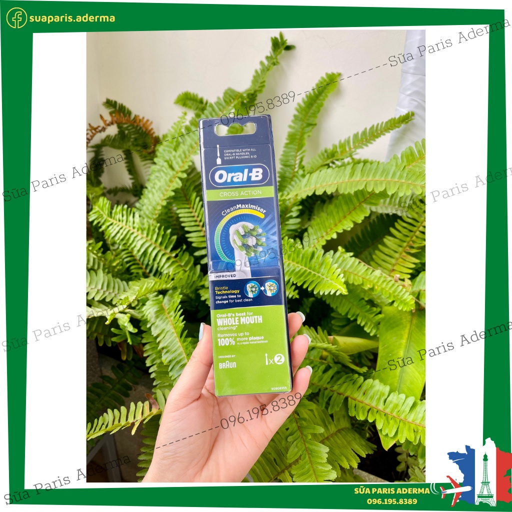 Đầu thay bàn chải điện Oral –B, hàng nội địa Pháp