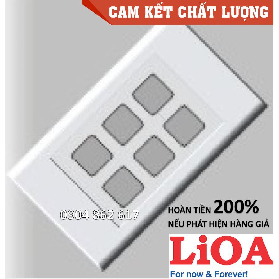 Mặt 6 lỗ LiOA chính hãng, Nhựa TRẮNG, tiếp điểm ĐỒNG