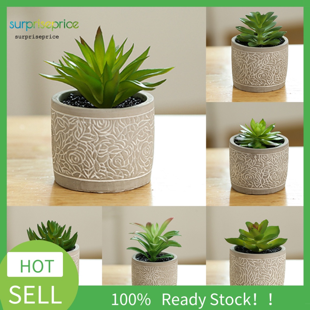 Kệ Để Chậu Cây Bonsai Mini Thân Thiện Với Môi Trường Dùng Trang Trí Bàn Làm Việc