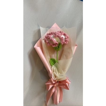 Hoa Cẩm Chướng-Carnation Crochet🌸