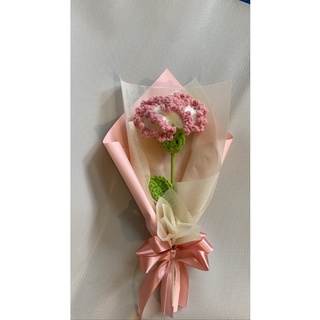 Hoa Cẩm Chướng-Carnation Crochet🌸