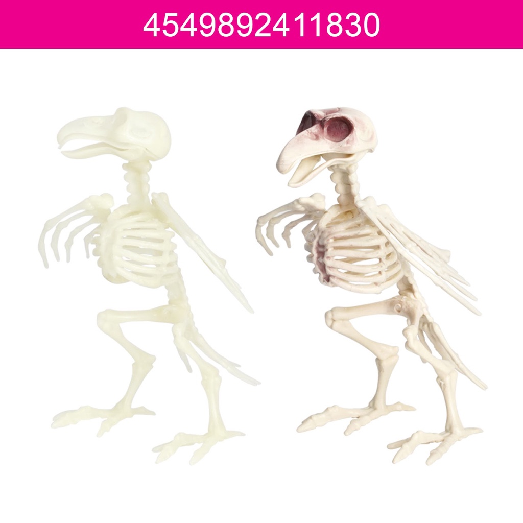 Daiso Halloween Mô hình bộ xương con chim