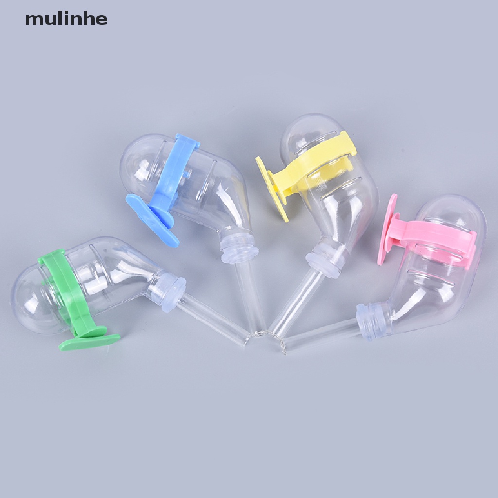 Bình Uống Nước Tự Động Cho Thỏ / Chuột Hamster