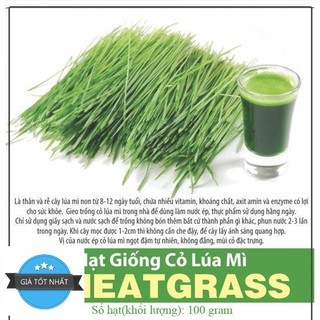 100 Hạt Giống Cỏ Lúa Mì Đỏ Cỏ Mèo