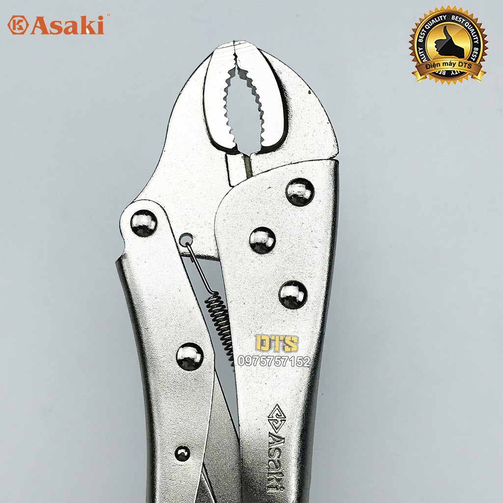 Kìm chết mỏ oval Asaki AK-8255 10 inch/ 250mm, kìm bấm chết thép High Carbon mạ chrome chống gỉ