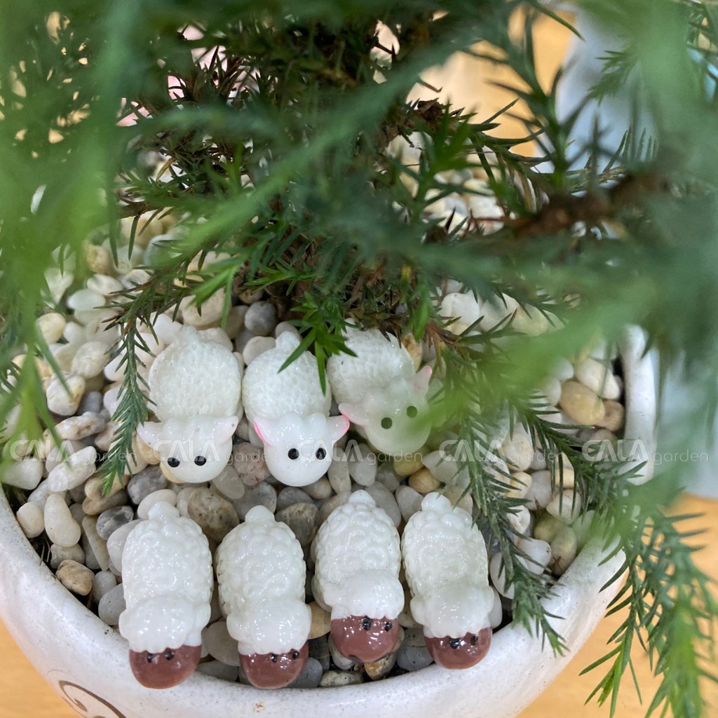 [Giá Siêu Rẻ] Chú Cừu Nhỏ Dolly- Phụ kiện trang trí cho cây xanh để bàn làm việc, mô hình trang trí cho bể cá, tiểu cảnh
