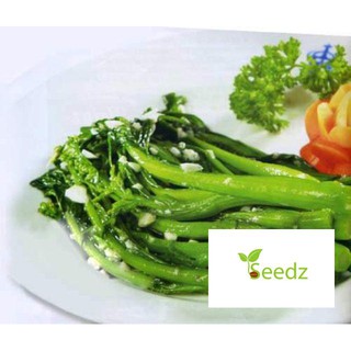 Gói 10 gram hạt giống cải ngồng mập VINMARK HẠT GIỐNG