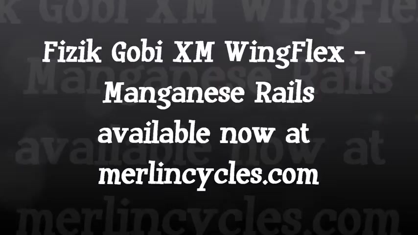 Yên Xe Đạp FIZIK Gobi XM Wing Flex Gọng Manganese Siêu Nhẹ