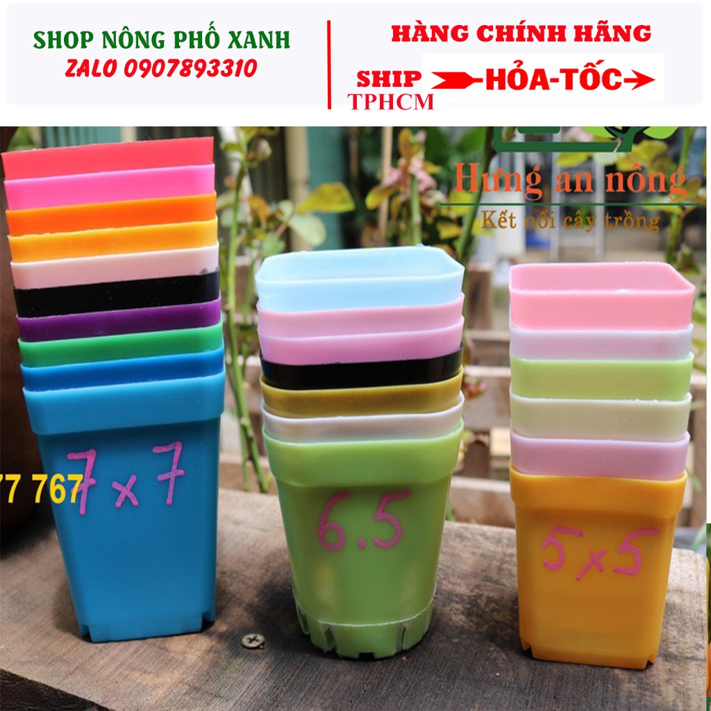 10 chậu nhựa 5X5cm PP vuông mini trồng sen đá bonsai xương rồng có 7 màu