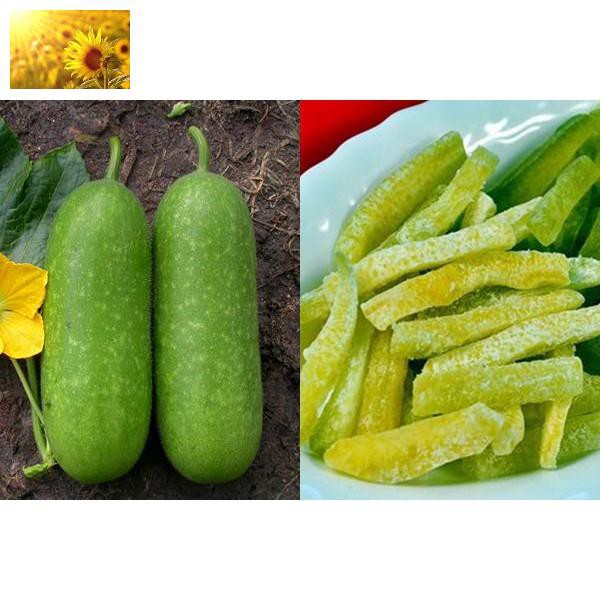 Hạt Giống Bí Đao Xanh Cao Sản  - Dễ Trồng, Mát, Ngọt, Bổ Dưỡng - MUA 3 TẶNG 1 CÙNG LOẠI