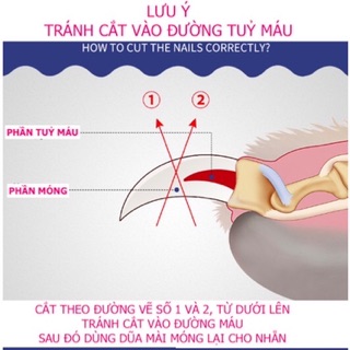 Kềm Cắt Móng Cho Chó Mèo Kèm Dũa