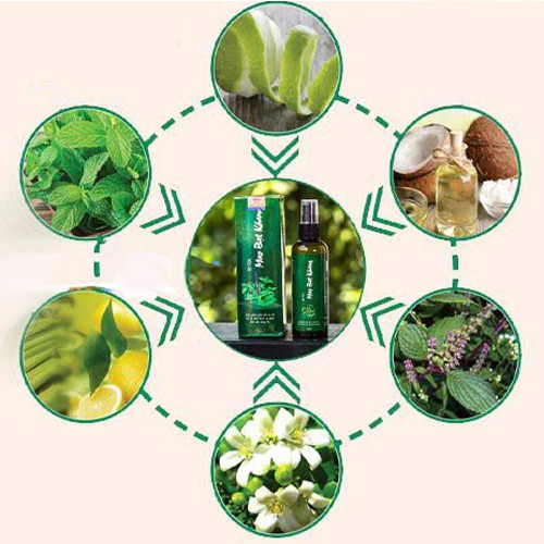 ️ Tóc Haco - Xịt Tóc Mao Bạt Khang | BigBuy360 - bigbuy360.vn