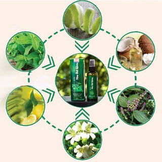 ☑️ Tóc Haco - Xịt Tóc Mao Bạt Khang