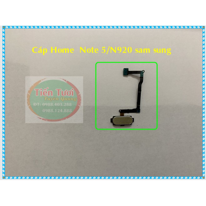 Cáp Home Note 5.N920 Samsung