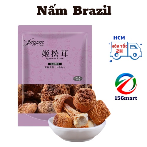 Nấm Thái Dương / Nấm Brazil
