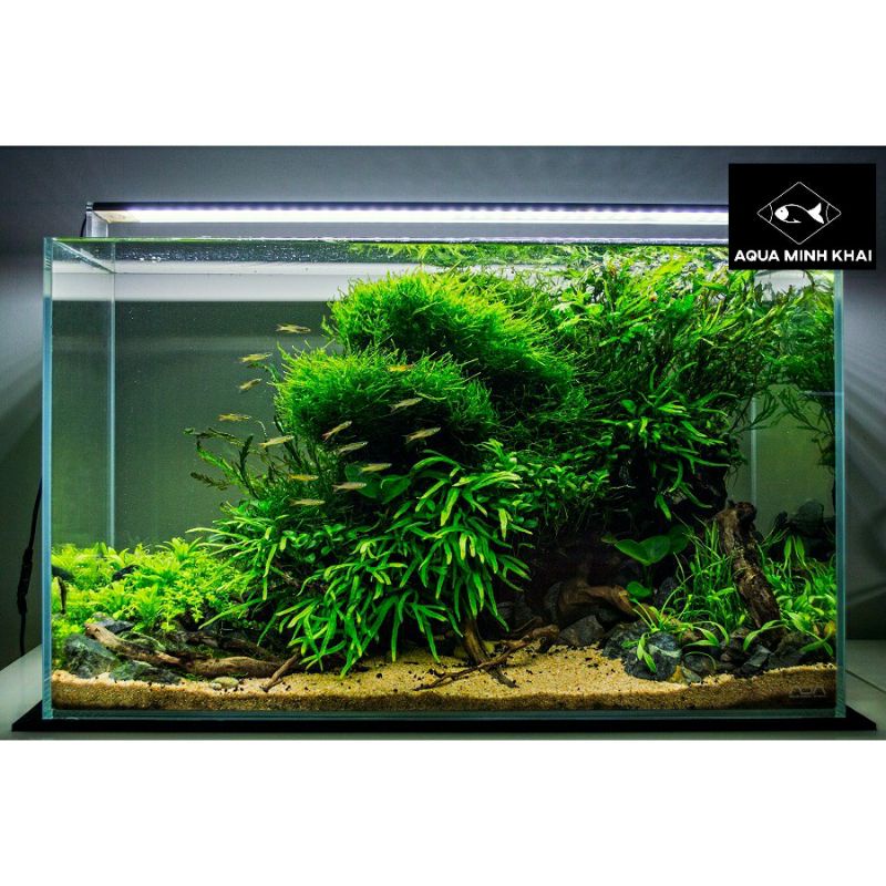 Cát nắng vàng (trang trí bể cá cảnh, bể thủy sinh, trang trí terrarium) 500g, 1kg