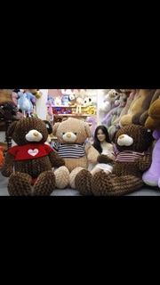 Gấu bông Teddy khổ vải 1m( Size thật 80cm)